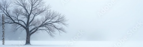 Bare branch of a tree against white foggy background, winter scene, frost