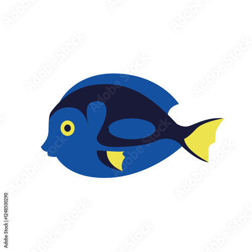 reef fish, blue tang isolated on white background
