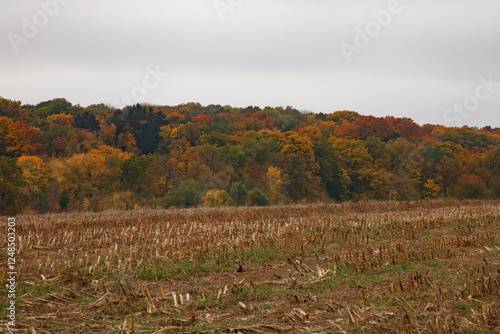 Herbstliche Landschaft: Abgeerntetes Feld mit buntem Herbstwald im Hintergrund und bewölktem Himmel. Naturfotografie, die die Schönheit der herbstlichen Jahreszeit einfängt. photo