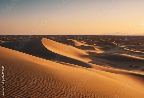 Golden sand dunes at sunset.