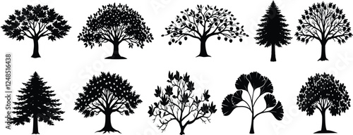 black tree of live icon. Evergreen forest firs and spruces black shapes, wild nature trees templates. Evergreen trees, pine tree, oak tree, trees forest, bushes trees no white background.