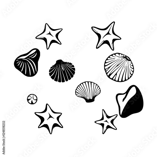 Black-and-white illustration of seashells and starfish scattered on a white background.