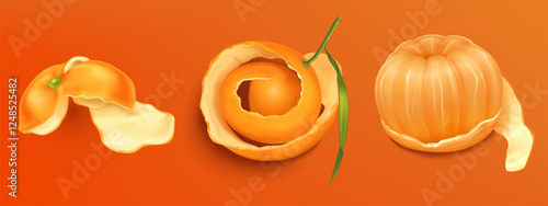 Peeled tangerine segments with curled orange citrus skin in different positions. Fresh fruit elements with natural texture, green stem and inner white membrane. Realistic 3d organic food vector set.