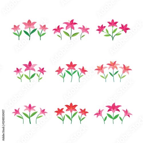 Flowers red roses on a white background. Rose flower set. pink rose flower, red rose flower, rose flower background, rose garden, rose