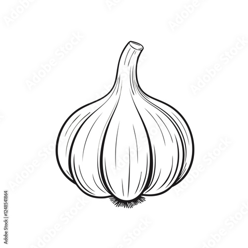 Garlic Vegetable Food Organic Fresh Vitamin Healthy Vegan Sketch Style
