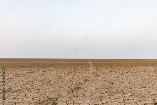 dry cracked farm fields with bright sky at morning