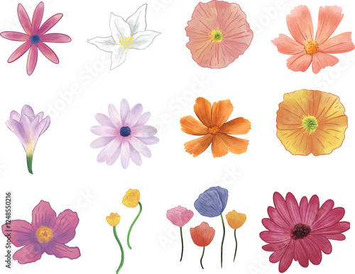 collection of flowers hand drawn 