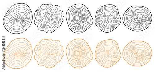 Brown wood tree trunk rings. Hand drawn vector set. Detailed black and white texture of a felled tree trunk or stump. Rough organic tree rings with close up of end grain. Circle topography 