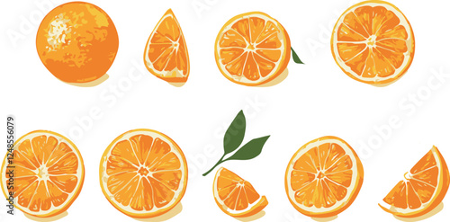 Oranges cut into pieces vector illustration set isolated tranperent background