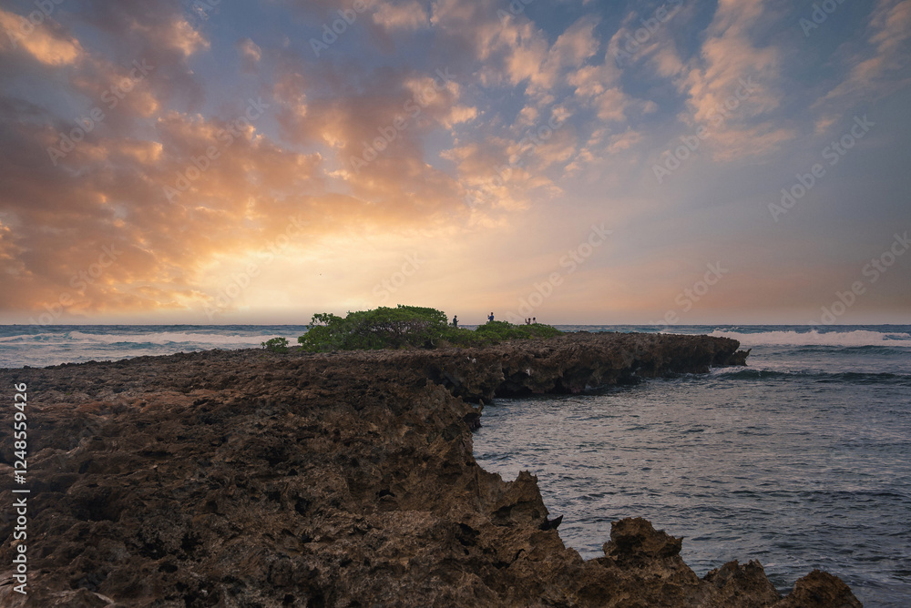 A jagged coastline on a Hawaiian island with rocky terrain, a small green patch, calm ocean waves, and a sky in warm orange and pink hues. A jagged coastline on a Hawaiian island with rocky terrain, a small green patch, calm ocean waves, and a sky in warm orange and pink hues.