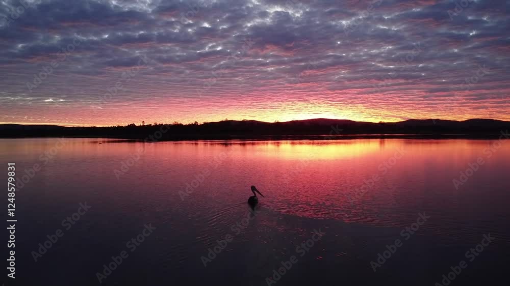 Serene Lake Sunrise with Pelican Silhouette Serene Lake Sunrise with Pelican Silhouette