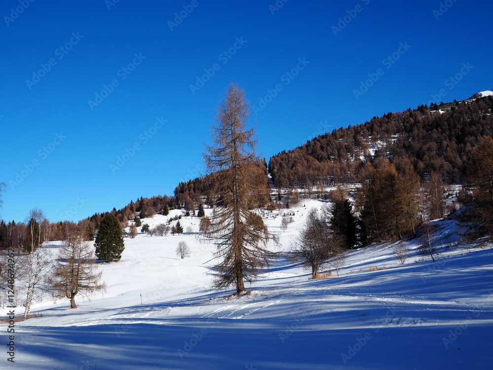 The mountains and trees are covered with snow. The mountains and trees are covered with snow.