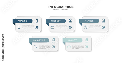 5 steps, parts or options vector infographic design template