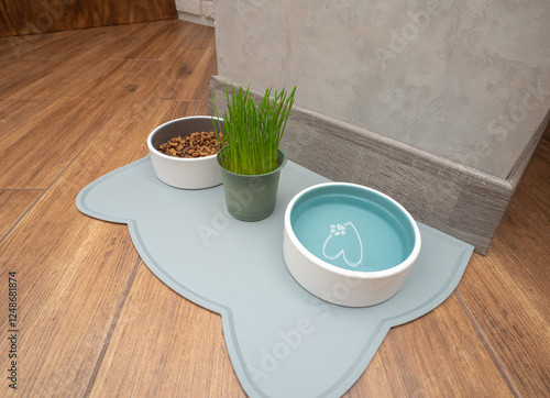 Cat food with grass in a plate in the apartment, pet food. Drinking water for animals in ceramics