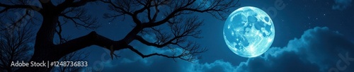 Wallpaper Mural Full moon illumination of twisted tree branches, dark, shadows, forest Torontodigital.ca