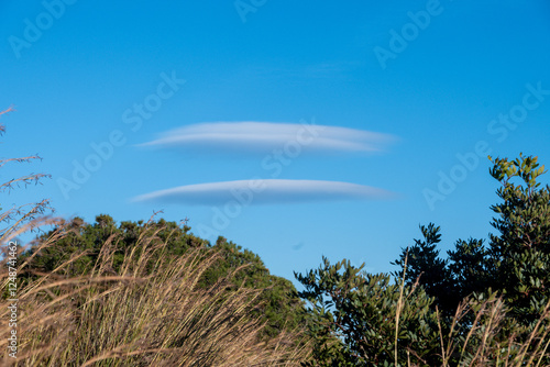 Two elongated lenticular clouds hover above green vegetation under a vibrant blue sky, forming a striking contrast with the natural scenery. photo