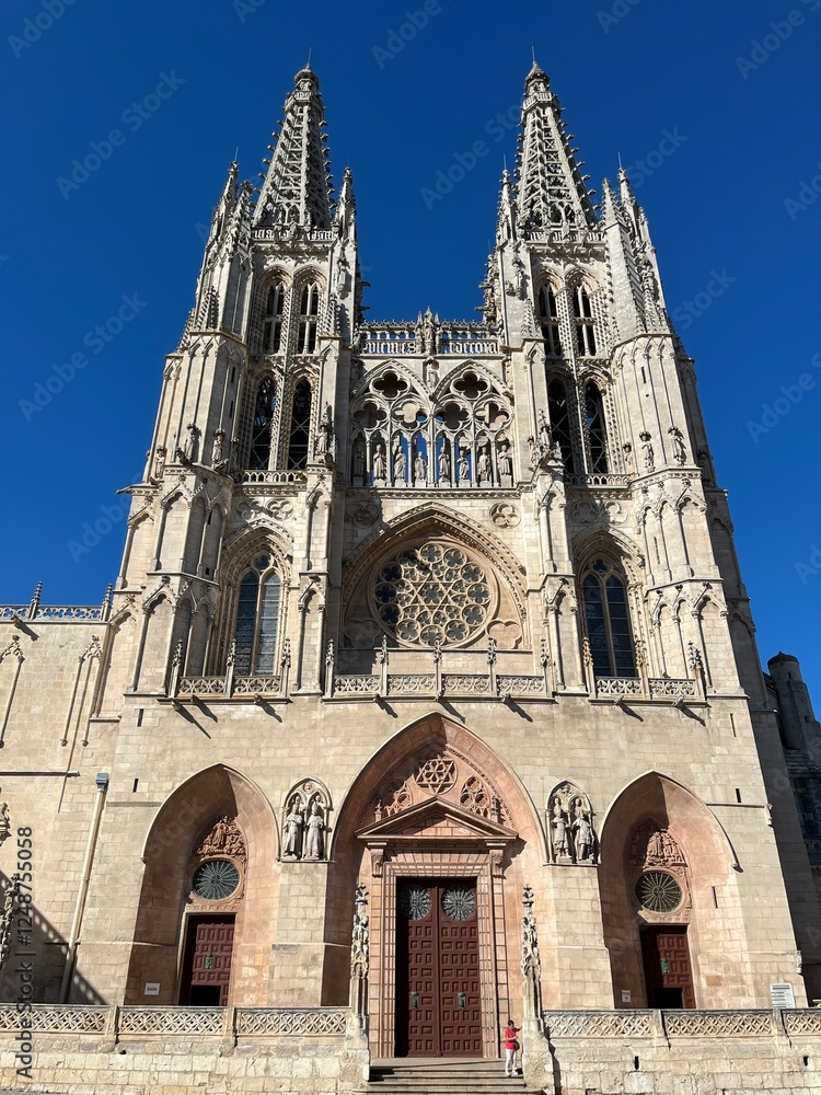 Fototapeta premium Fachada, puertas, techos y espacios increíbles de la catedral de Burgos, España.