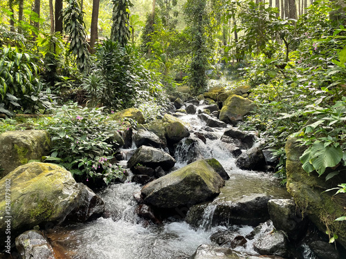 Mountain water flow in a fresh green tropical forest with natural stones and natural green moss.