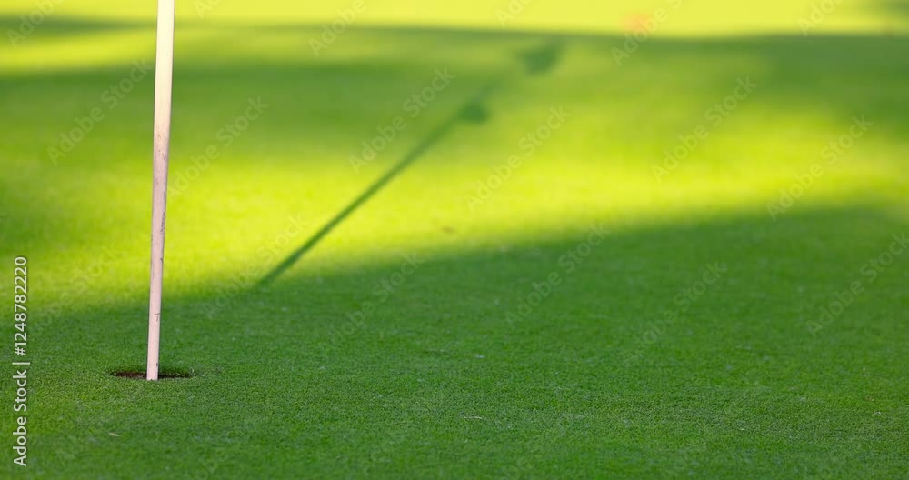 Golf course green grass on a golfing field with flagstick, hole, golf ball on a sunny day. Golfing on tropical island.