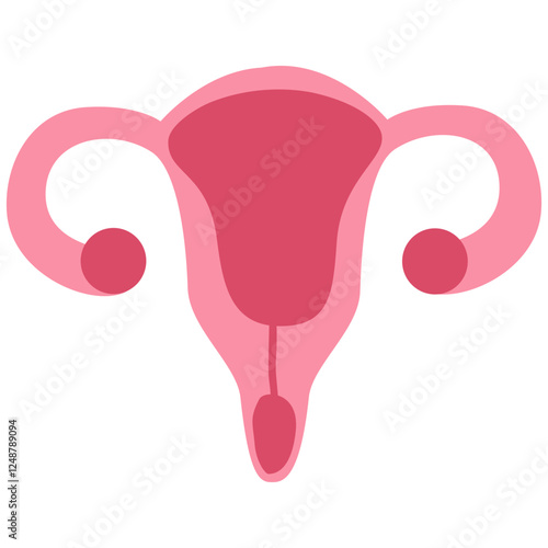Female Reproductive System: Simplified, stylized illustration of the female reproductive system, perfect for medical, educational, and scientific purposes, symbolizing health and the miracle of life.
