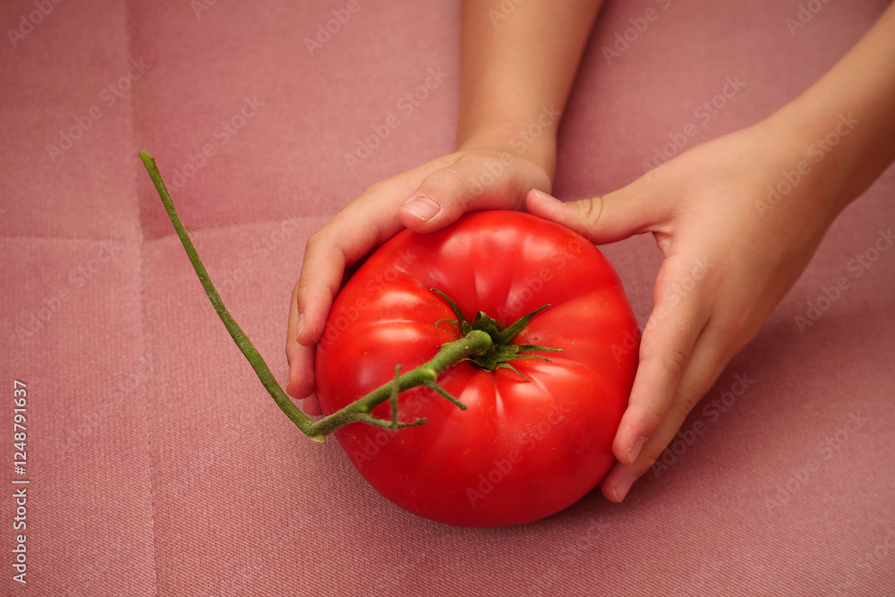 Very large natural tomato type Turkish Ayaş tomato,