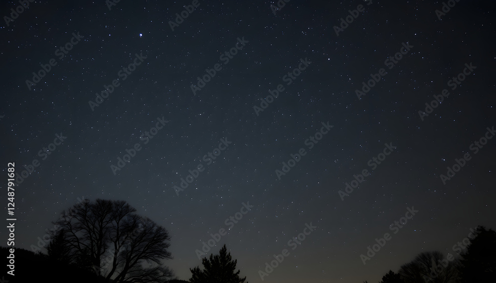 Naklejka premium Night Sky, vintage. with white shades