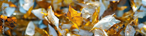 Close-up of Scattered Autumn Leaves photo