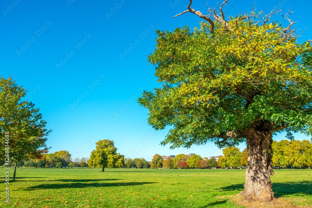 Autumn in Clapham Common park. London, England