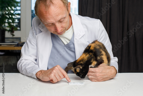 Veterinarian with young cat pet and rapid diagnostic test indoor photo