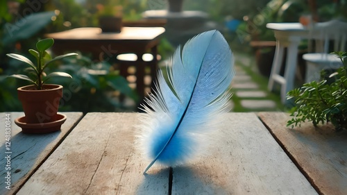 beautiful colored blue smooth feather on a table in the garden photo