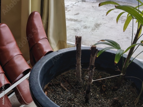 オフィスの一部