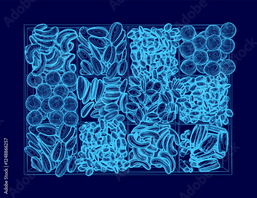 A blue image of a variety of nuts and seeds. The image is a close up of a blue background with a variety of nuts and seeds scattered throughout the image