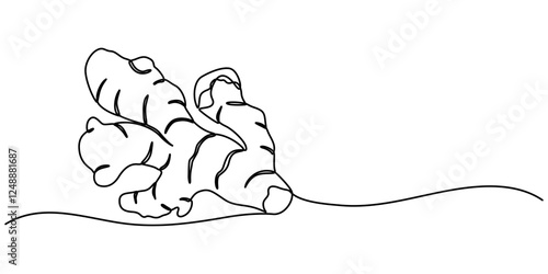 Single one line drawing ginger. Vegetable concept. Continuous line draw design graphic vector illustration, Single one line drawing of healthy organic ginger for harvesting logo identity. Fresh design