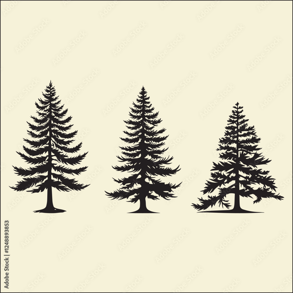Fototapeta premium Pine Silhouette, Tree, Forest