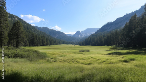 A large field of grass with trees in the background photo