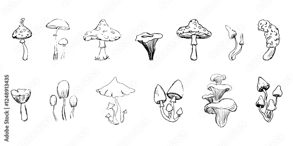 Mushroom sketch doodle drawing, fantasy forest line plant. Set botanical hand drawn mushrooms. Tattoo sign Linear. Mushroom sketch doodle drawing, fantasy forest line plant. Set botanical hand drawn mushrooms. Tattoo sign Linear.