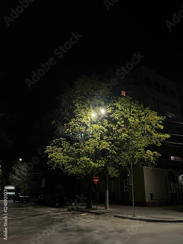 A peaceful summer night scene with a green field, trees, and a starry sky overhead.
