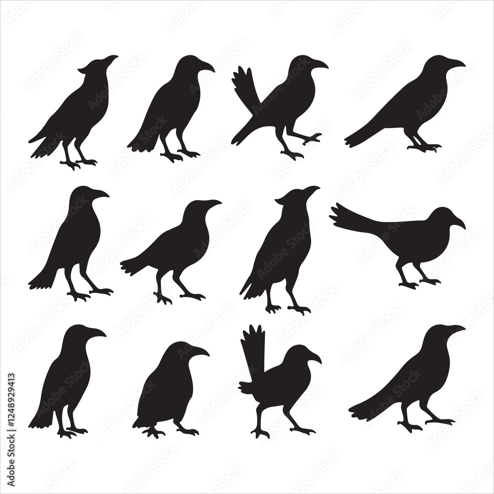 Fototapeta premium Crow Silhouette Vector Set