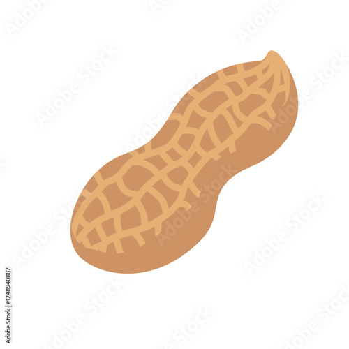 Peanut Flat Design Vector Illustration - Superfood & Vegan Protein Source