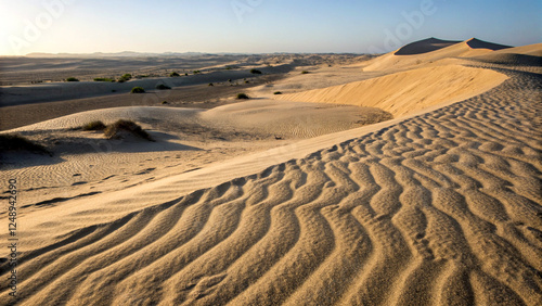 Textured sand dunes creating a rhythmic pattern