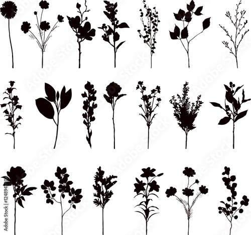 silhouette flowers set on white background vector