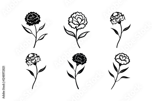 Carnation (Dianthus caryophyllus) silhouette vector art illustration