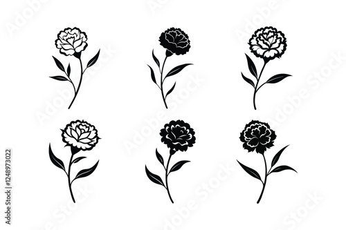 Carnation (Dianthus caryophyllus) silhouette vector art illustration