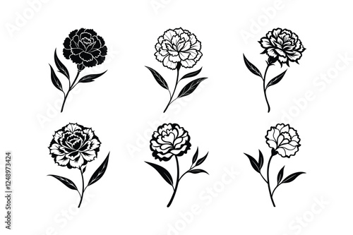 Carnation (Dianthus caryophyllus) silhouette vector art illustration