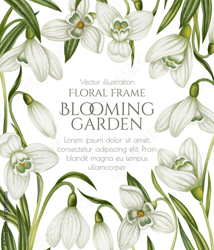 Vector frame with spring flowers. Watercolor snowdrops. Floral vertical banner template. Print for card with primroses