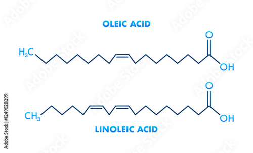 Oleic Acid and Linoleic Acid Structural Chemical Formulas Showing Differences
