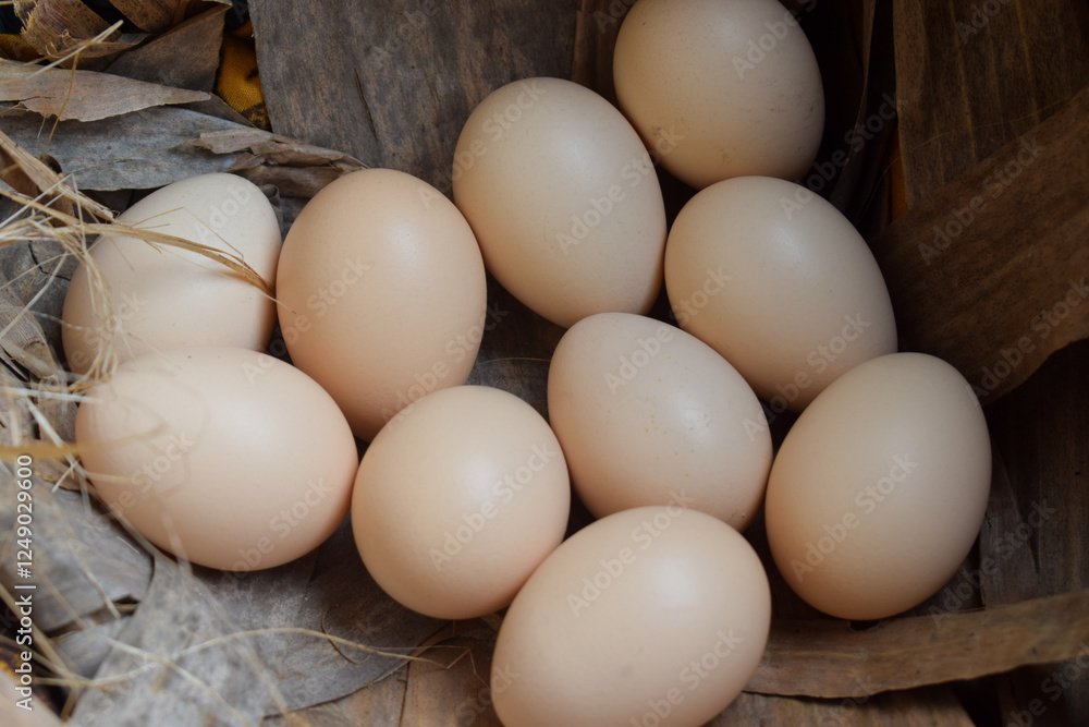 Several fresh organic chicken eggs in the hay. closeup Several fresh organic chicken eggs in the hay. closeup