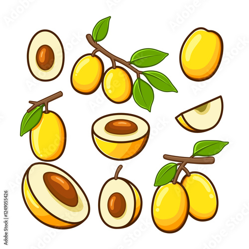 a variety of ximenias cut into shapes and arranged in different positions