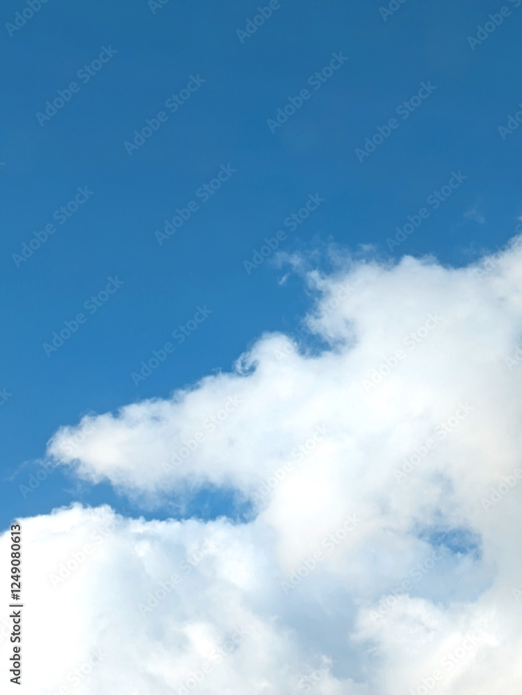 Fototapeta premium Blue Sky and Fluffy White Clouds; 