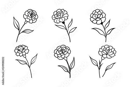 Carnation (Dianthus caryophyllus) line art vector illustration